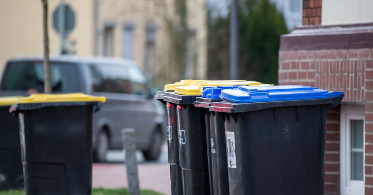 Benefits of Using Large Skip Bins for Major Renovations