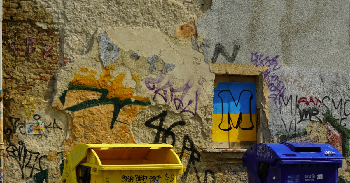 Community Initiatives for Environmental Waste Management in NSW