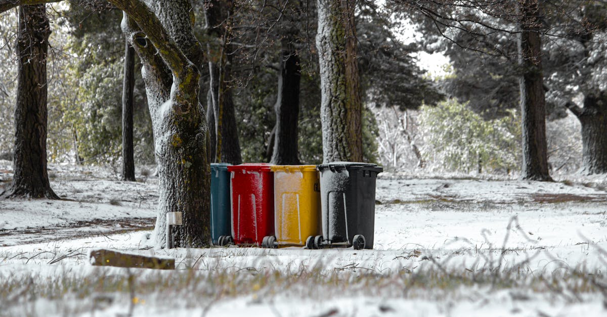 DIY Hazardous Waste: Tips for Safe Disposal in Skip Bins