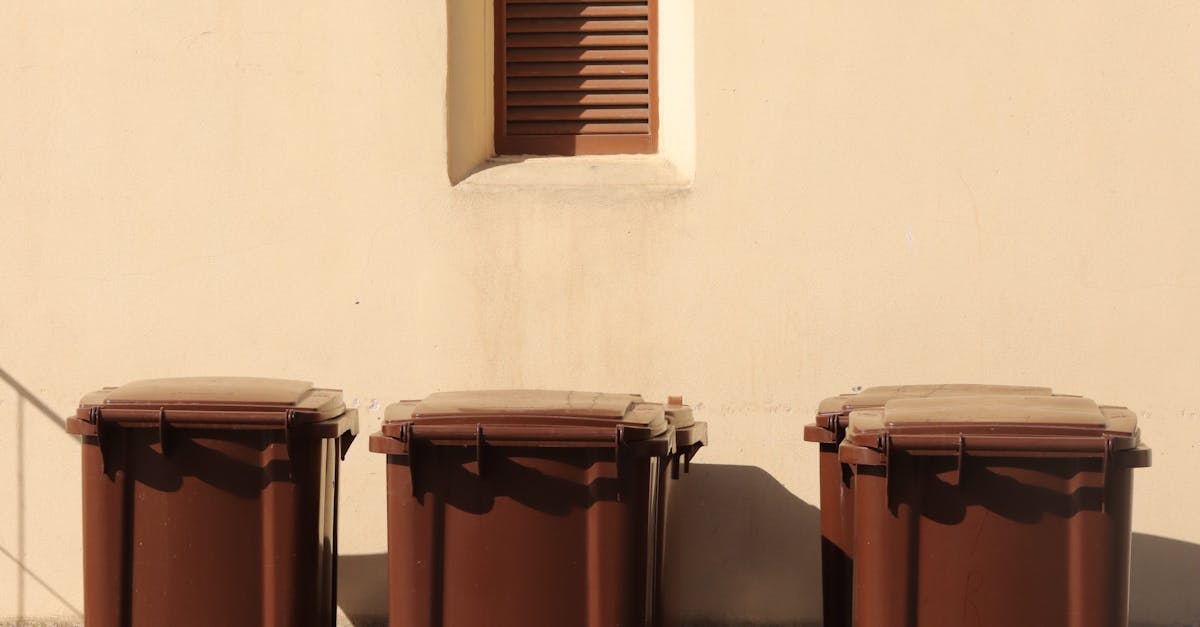 Eco-Friendly Practices in Same Day Skip Bin Hire in Liverpool NSW