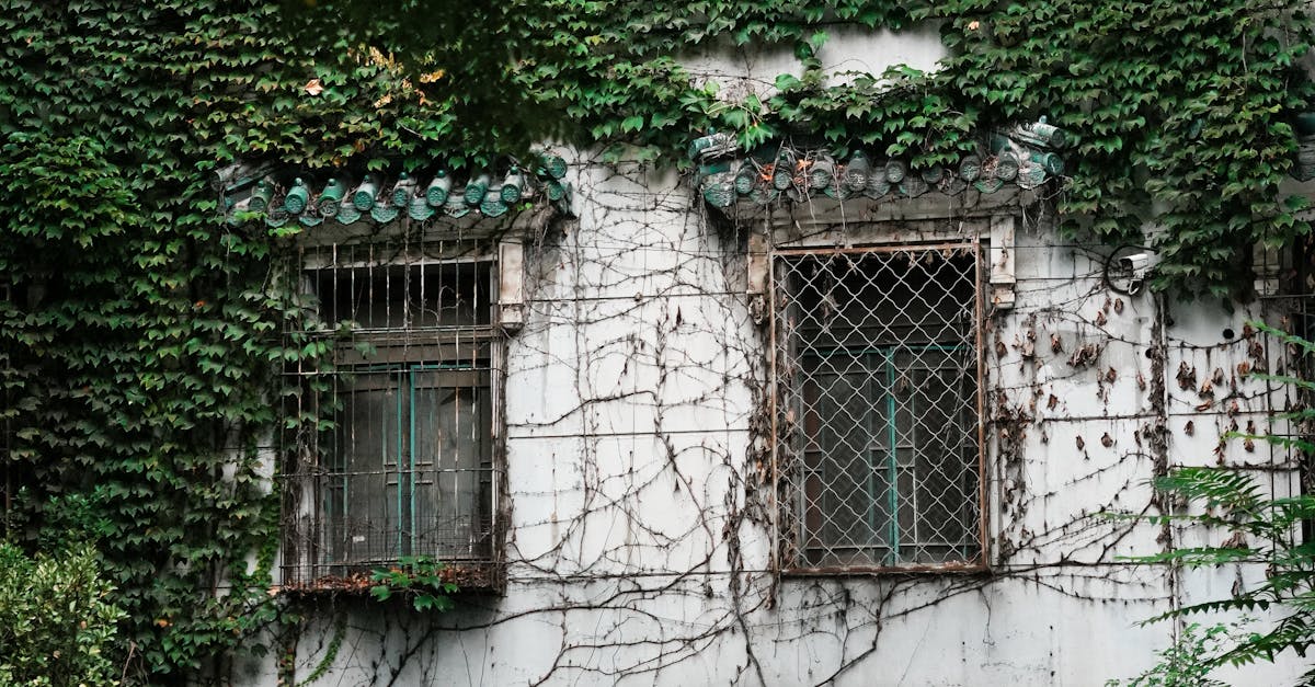 Environmental Considerations for Large Skip Bin Usage