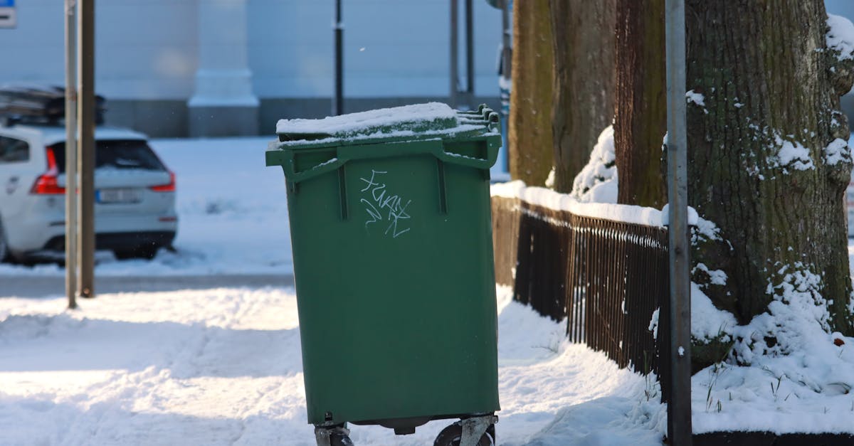 Guidelines for Developing a Comprehensive Waste Management Plan