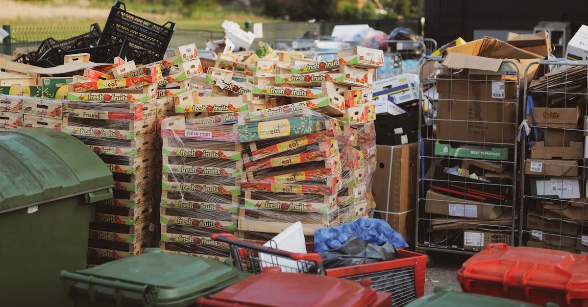The Environmental Impact of Using Builders Skip Bins for Waste Disposal