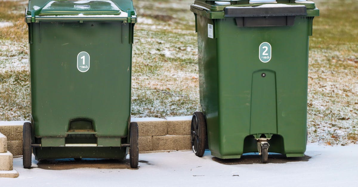 The Role of Skip Bin Companies in Promoting Environmental Sustainability