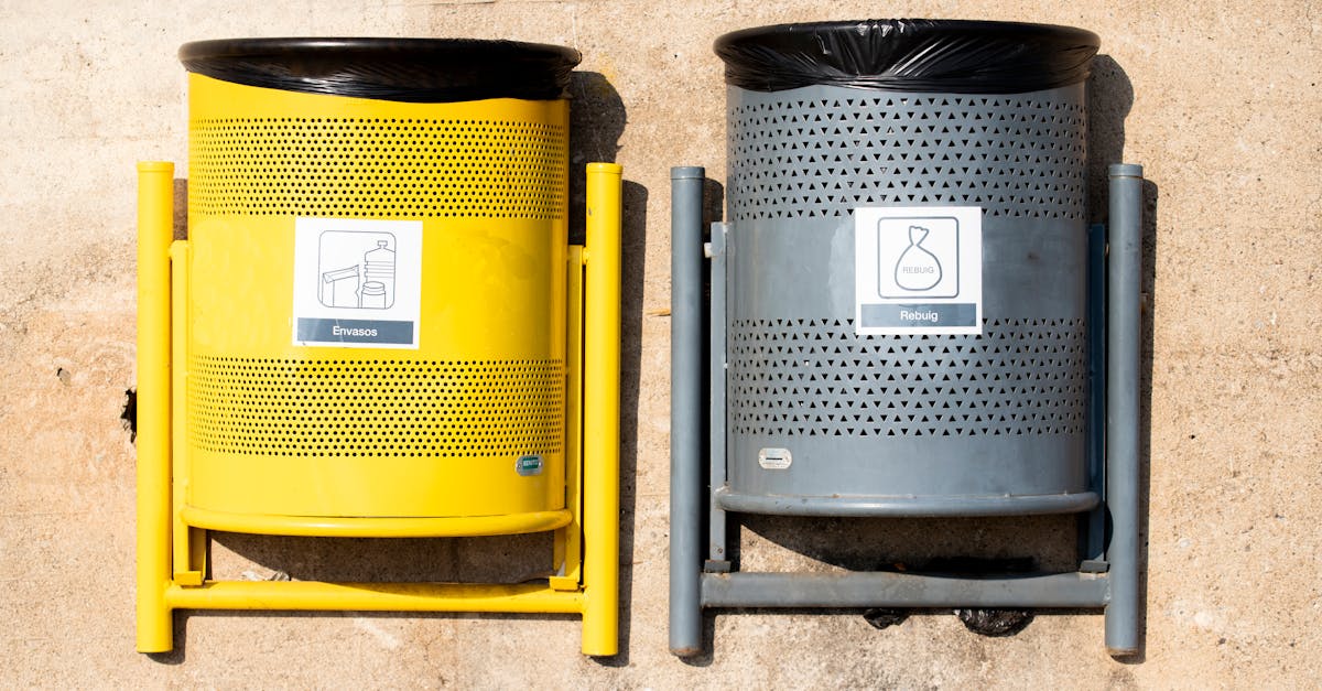 Tips for an Eco-Conscious Skip Bin Hire Experience