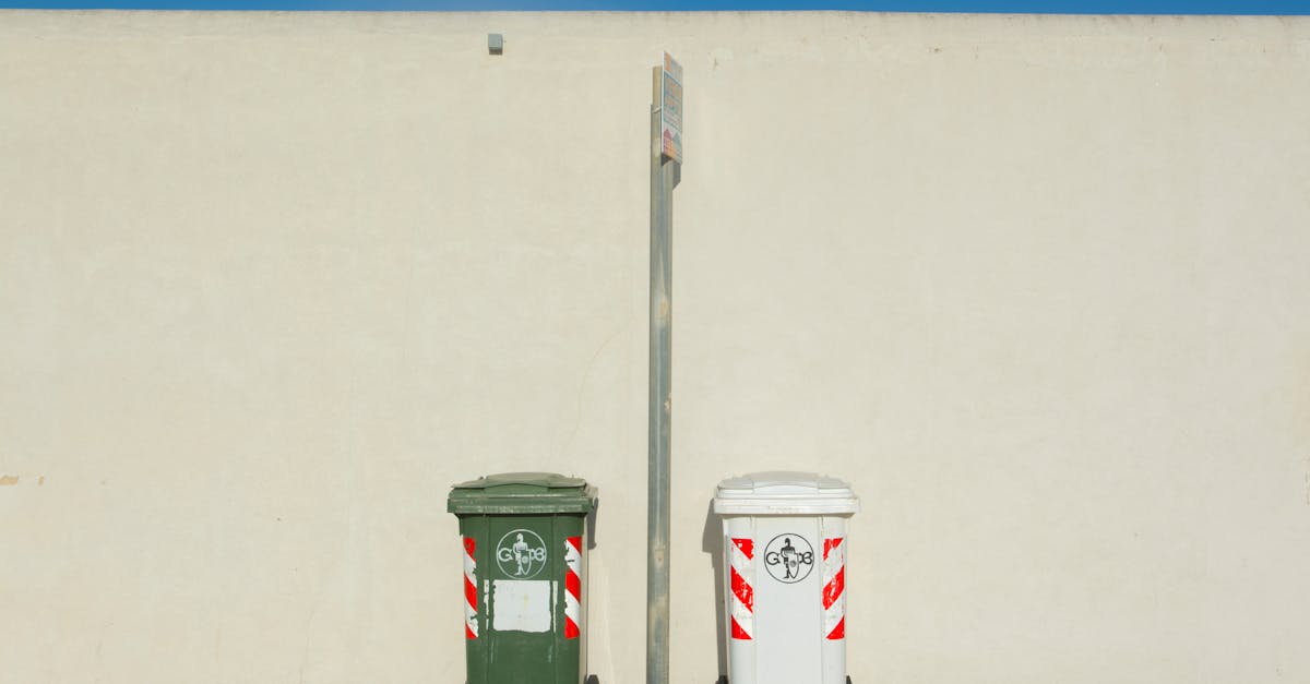 What Can You Dispose of in a Mini Skip Bin?